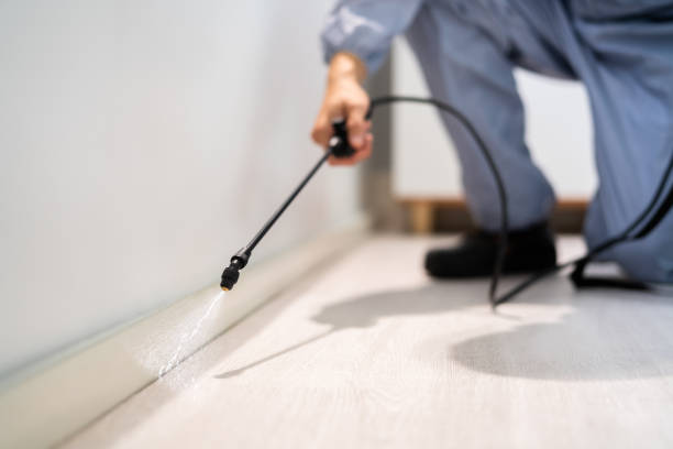 Certified termite inspector examining foundation in Columbia City