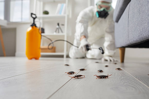 Commercial Rodent Management in Columbia City